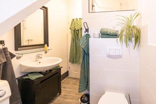 a bathroom with a sink and a toilet at Ramakers Hof in Kirchlinteln