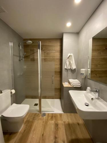 a bathroom with a shower and a toilet and a sink at Hotel Valjunco in Valencia de Don Juan