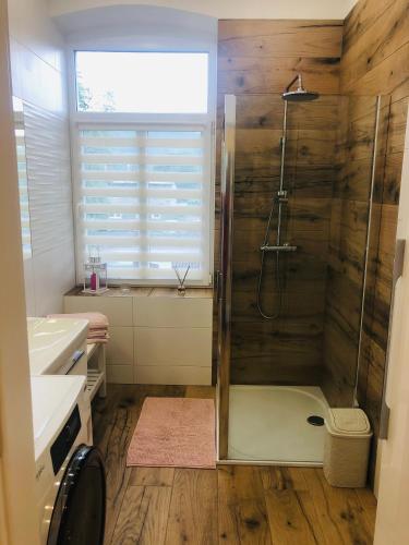 a bathroom with a shower with a glass door at Apartament Sasanka in Kowary