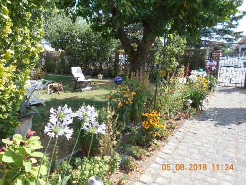 a garden with a bench and flowers on a path at Vermiete sehr schönes Apartment in Dankerode im Harz in Dankerode