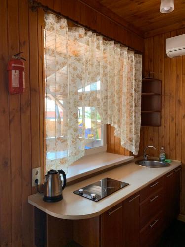 a kitchen with a sink and a window at Panorama Dofinovka in Nova Dofinivka