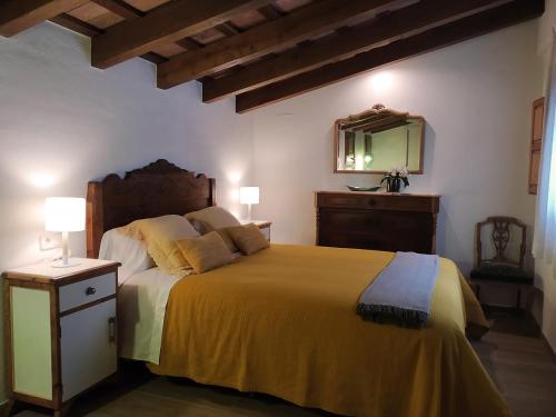 een slaapkamer met een groot bed en een spiegel bij Mas Gibert in Sant Gregori