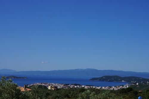 Gallery image of Villa Pefka in Skiathos Town