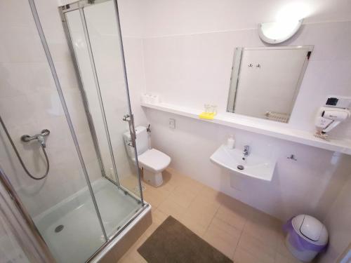 a bathroom with a shower and a toilet and a sink at Pensjonat Akacja in Kudowa-Zdrój