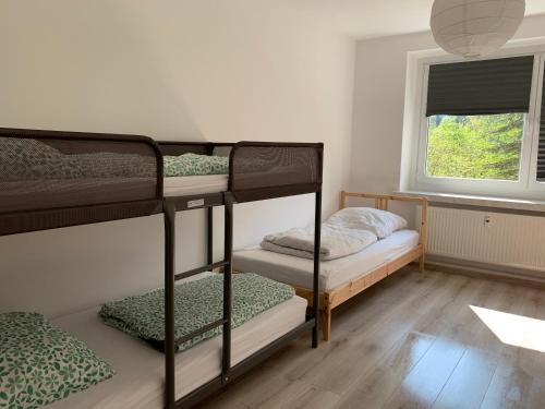 Zimmer mit 2 Etagenbetten und einem Fenster in der Unterkunft Moderne Ferienwohnung für 5 Gäste in Oberwiesenthal in Kurort Oberwiesenthal