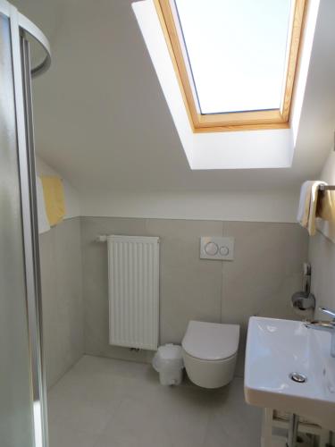 a bathroom with a toilet and a sink and a skylight at Pension Sunnhofer in Vilpiano