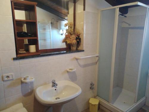 uma casa de banho com um lavatório e um chuveiro em Azienda Agrituristica Le Prunelle em Cannalonga