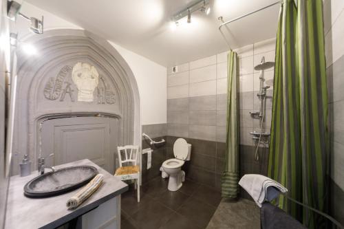 Un baño con lavabo, inodoro y ducha. en Ermitage Saint Vincent B&B, en Vieille-Brioude