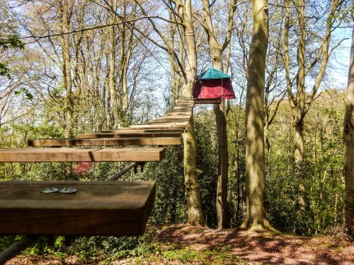 Woody Park – Photos 2