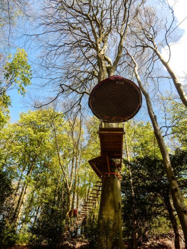 Woody Park – Photos 3