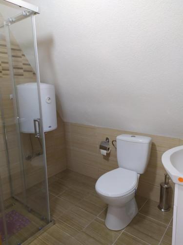 Koupelna v ubytování Apartment Stanic