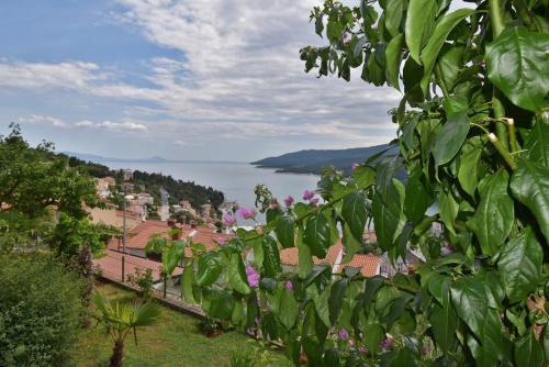 a view from the hill of a town and a body of water at Apartment Neda in Rabac