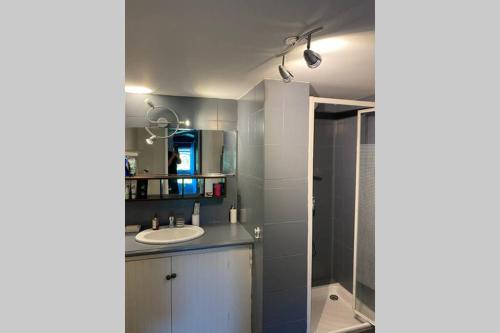 a bathroom with a sink and a shower at Appartement st Victor in Puyvert