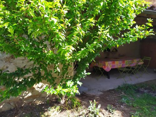Κήπος έξω από το Chez Gueguette