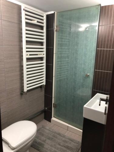 a bathroom with a shower and a toilet and a sink at Ioannina Luxury Suites & Apartments in Ioannina