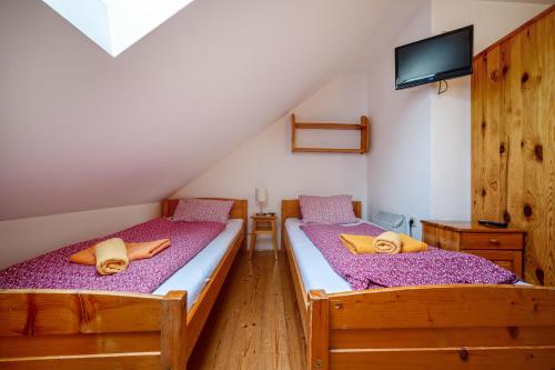 two twin beds in a room with a tv at Penzion U Kostela in Mikulčice