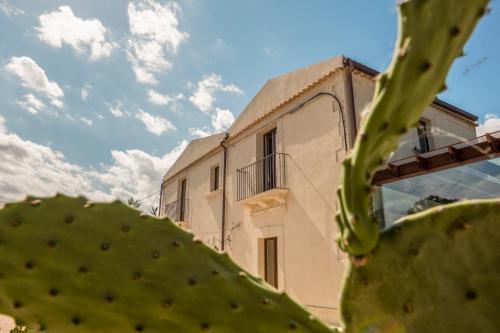 a green cactus in front of a building at MOMENTO-TEATRO GRECO in Siracusa