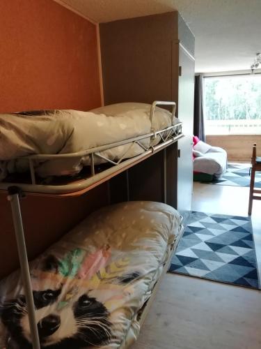 quelques lits superposés dans une chambre dans l'établissement Le Galibier, à La Salle Les Alpes