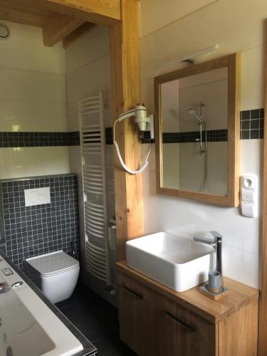 a bathroom with a sink and a toilet and a mirror at Kameňácká myslivna in Moravany