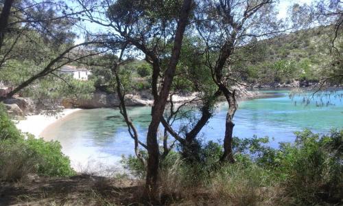 Gallery image of B&B Andrieddu in Telti