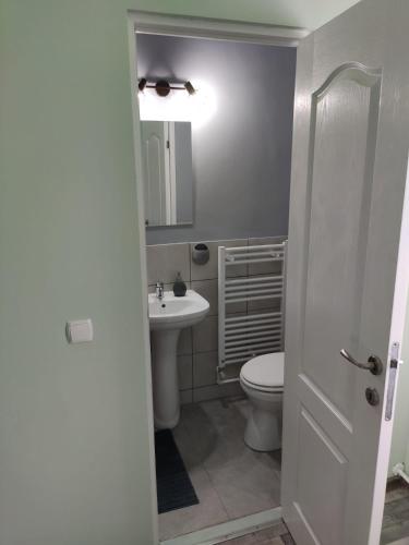 a bathroom with a sink and a toilet and a mirror at Podgoria Guesthouse- Camere de închiriat in Oradea