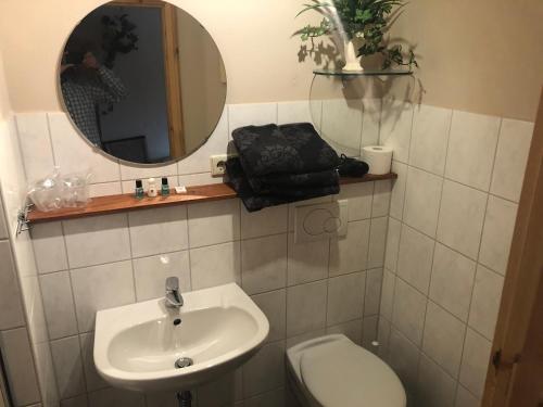 een badkamer met een wastafel, een spiegel en een toilet bij Deutsches Haus in Neuhütte