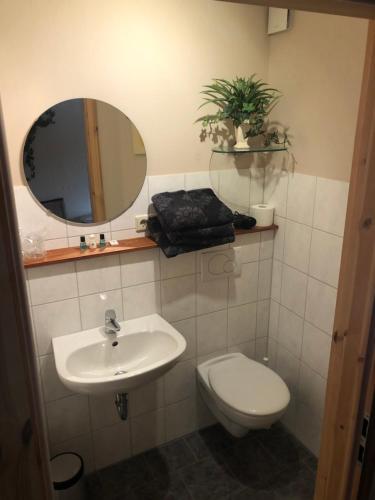 a bathroom with a toilet and a sink and a mirror at Deutsches Haus in Neuhütte