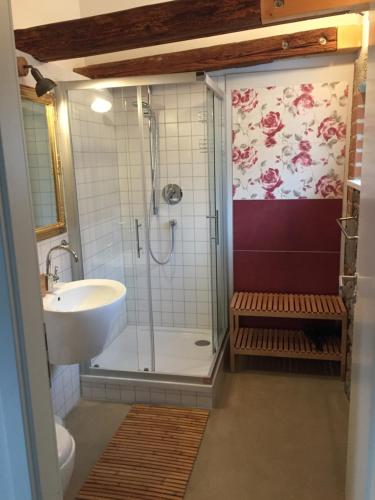 a bathroom with a shower and a sink at Weingut Martin Schwarz in Meißen