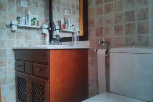 a bathroom with a sink and a toilet at Dúplex Àreu, Pallars in Areu