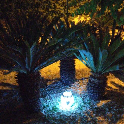 two palm trees with a light in the middle at Poesia del Mare B&B in Siracusa