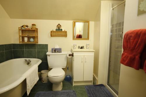 a bathroom with a toilet and a tub and a shower at À Amour et Amitié in Magog-Orford