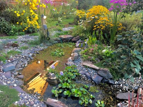 a garden with a pond with flowers and rocks at À Amour et Amitié in Magog-Orford