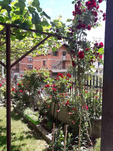 a garden with flowers and a building in the background at Prenoćište " Ruža" in Višegrad
