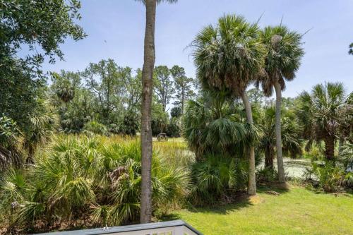 a group of palm trees in a field at Lloyd's Lodge at Davis Love Dr in Fripp Island