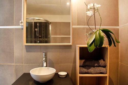 baño con lavabo, espejo y planta en Maison de Charme Rénovée en Cucuron