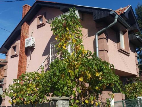 uma casa com uma árvore em frente em Sweet Apartment em Zaječar