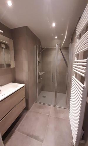 a bathroom with a shower and a sink at Vakantiehuis 't Wijngaardje in Merkem