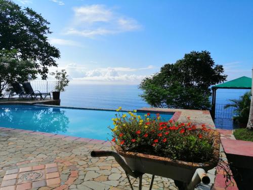 a wheelbarrow filled with flowers next to a swimming pool at Montezuma Heights in Montezuma