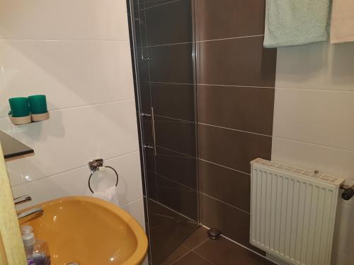 a bathroom with a sink and a shower at Pension-Puttlachtal in Pottenstein