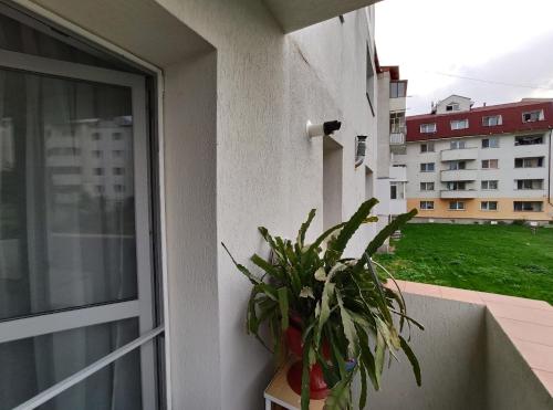 Bangunan di mana terletaknya apartmen