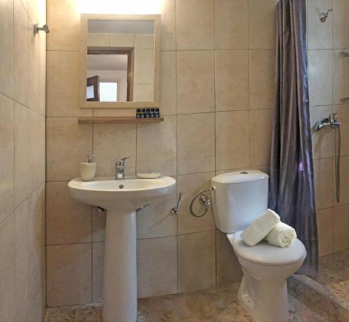 a bathroom with a sink and a toilet and a mirror at Villa Astraea Kyra Panagia in Kyra Panagia