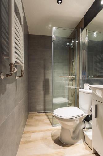 a bathroom with a toilet and a shower and a sink at Pokoje w centrum in Krościenko