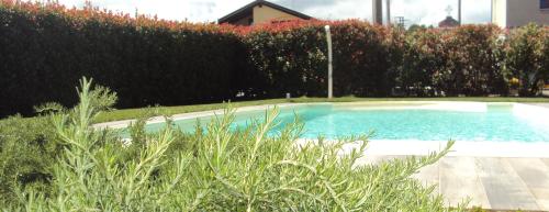 a swimming pool in a yard next to a hedge at Springs Loft in Candelo