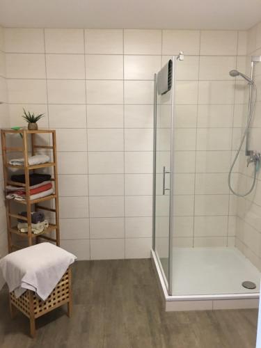 bagno con doccia e porta in vetro di Ferienwohnung Sültemeier 1 a Trebel