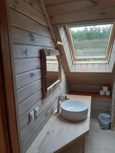 a bathroom with a sink and a window at Natura Apartamenty in Swaderki