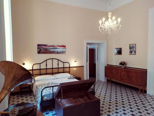 suite fontanelle