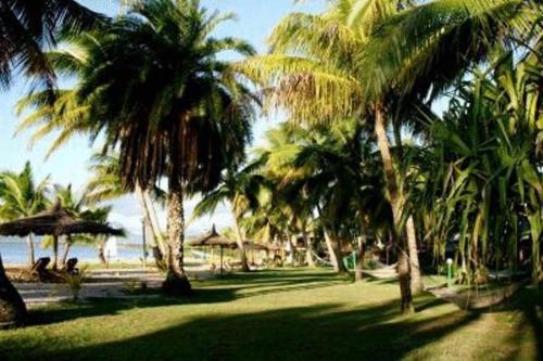a group of palm trees on a beach with the ocean at Club Fiji Resort in Nadi