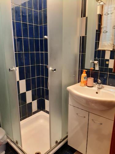 ein Badezimmer mit einer Dusche, einem Waschbecken und einer Badewanne in der Unterkunft Apartments Marija in Murine