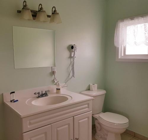 a bathroom with a toilet, sink and mirror at Jacques Cartier Motel in Sydney