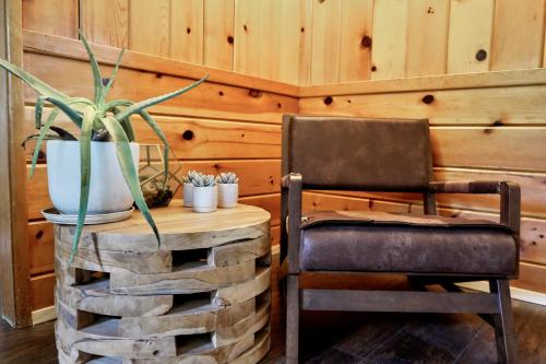 a chair and a table with a potted plant at Lake Front Cabins in June Lake